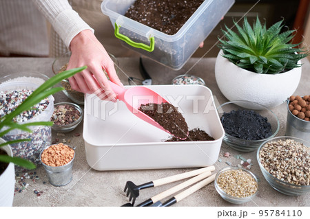 soil substrate preparation for transplanting houseplants on concrete background soil substrate preparation for transplanting houseplants on concrete background 95784110