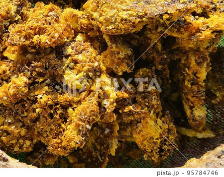 ミツロウブロックの生成　巣蜜の搾りかすを熱水に溶かし込む 95784746