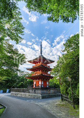 【京都府】豊かな自然に囲まれた鮮やかな朱色の子安塔 95785495