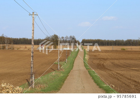 北海道 十勝地方 牧場のある風景(春) 北海道 十勝地方 牧場のある風景(春) 95785691
