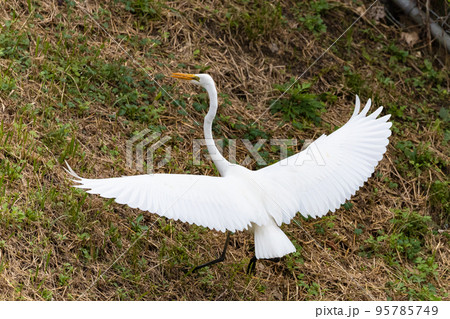 EOSRP.山口岩国、シロサギ不信行動。 95785749