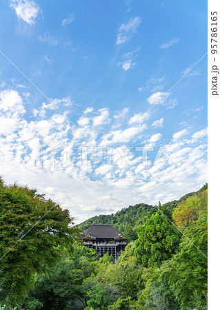 【京都府】豊かな自然に囲まれた清水寺の本堂 95786165