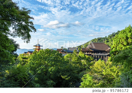 【京都府】豊かな自然に囲まれた清水寺の本堂と三重塔 95786172