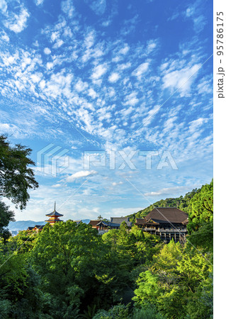 【京都府】豊かな自然に囲まれた清水寺の本堂と三重塔 95786175