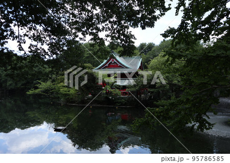 東京 井の頭恩賜公園 95786585