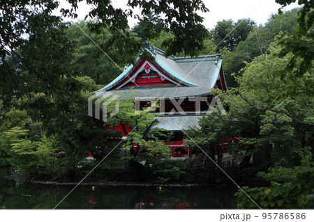 東京 井の頭公園 95786586