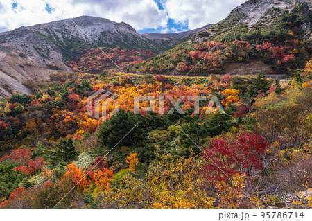 《福島県》かもしか沢の紅葉・磐梯吾妻スカイライン《紅葉最盛期》 95786714