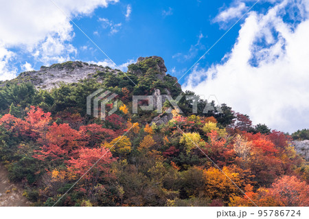 《福島県》かもしか沢の紅葉・磐梯吾妻スカイライン《紅葉最盛期》 95786724