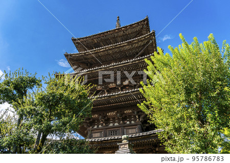 【京都府】爽やかな青空と東山のシンボル八坂の塔 【京都府】爽やかな青空と東山のシンボル八坂の塔 95786783