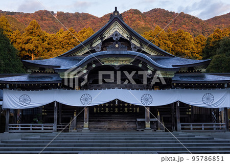 朝日にあたる 弥彦神社 紅葉1 95786851
