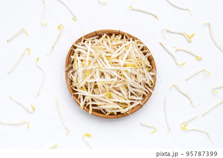 Bean sprouts on white background 95787399