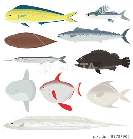 魚のイラストセット 95787903