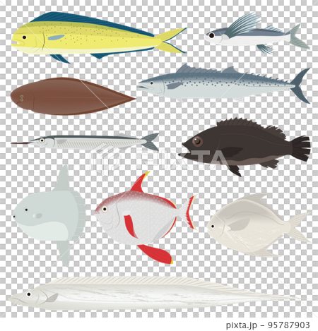 魚のイラストセット 95787903