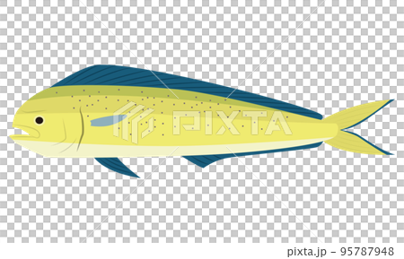 shiira 的插圖 95787948