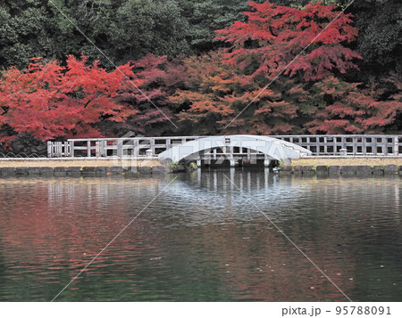 紅葉の徳川園 95788091