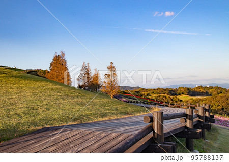 淡路島、花さじきの木製遊歩道 95788137