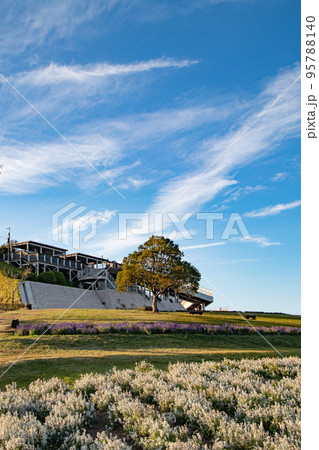 淡路島、花さじきの展望台と秋空 95788140