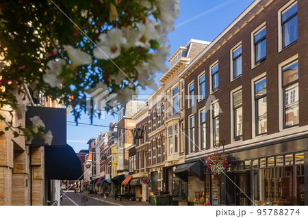 Street in Old Town The Hague with old buildings in summer 95788274