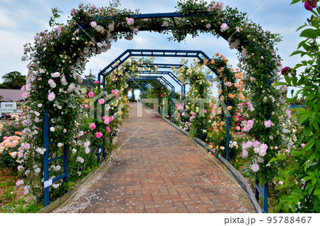 水俣エコパーク 95788467