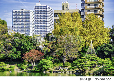 東京都 江東区 清澄庭園 大泉水と中の島 秋の風景 都措定名勝 東京都 江東区 清澄庭園 大泉水と中の島 秋の風景 都措定名勝 95788722