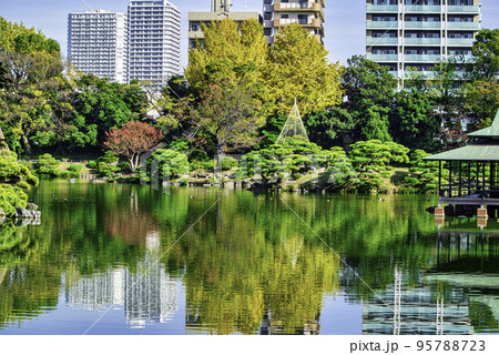 東京都 江東区 清澄庭園 大泉水と中の島 秋の風景 都措定名勝 東京都 江東区 清澄庭園 大泉水と中の島 秋の風景 都措定名勝 95788723