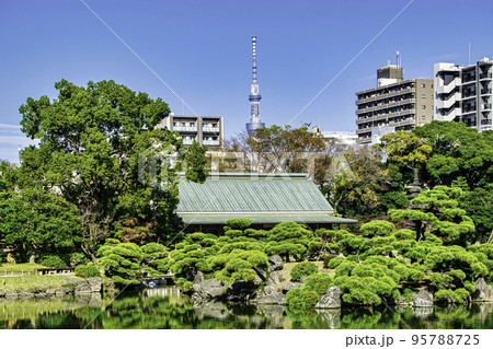 東京都 江東区 清澄庭園 傘亭と東京スカイツリー 秋の風景 都措定名勝 東京都 江東区 清澄庭園 傘亭と東京スカイツリー 秋の風景 都措定名勝 95788725