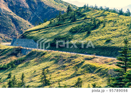 志賀草津高原ルート 雪の回廊周辺の起伏と山肌 10月下旬 b-3 暖色寒色強調 志賀草津高原ルート 雪の回廊周辺の起伏と山肌 10月下旬 b-3 暖色寒色強調 95789098