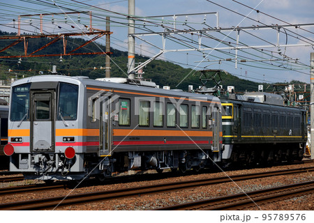 東海道線を走るEF81113の牽くキハ120気動車回送列車 95789576