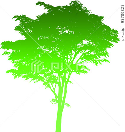 グラデーションの樹木シルエット画像。背景透明のイラスト グラデーションの樹木シルエット画像。背景透明のイラスト 95789825