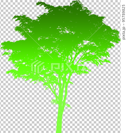 Gradient tree silhouette image. illustration with transparent background Gradient tree silhouette image. illustration with transparent background 95789825