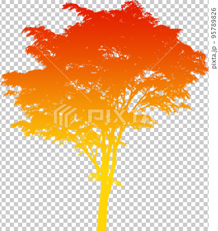 Gradient tree silhouette image. illustration with transparent background Gradient tree silhouette image. illustration with transparent background 95789826