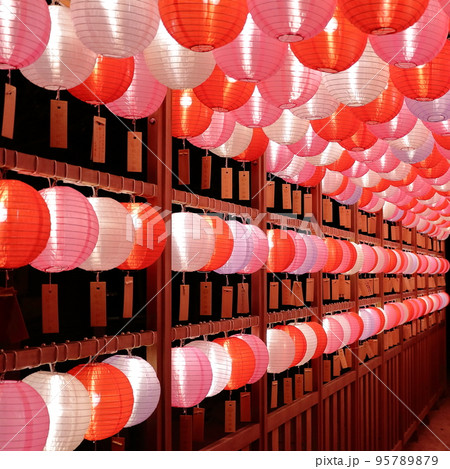 現人神社　恋ぼんぼり 95789879