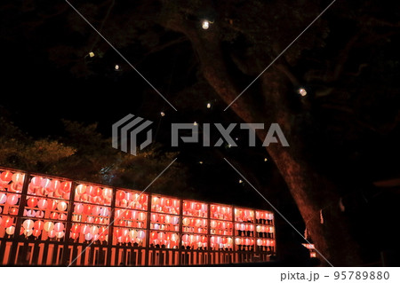 現人神社 恋ぼんぼり 現人神社 恋ぼんぼり 95789880