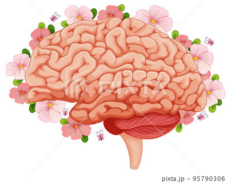 Human brain with pink flowers 95790306