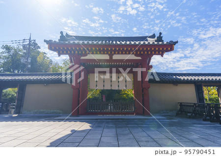 奈良・薬師寺　境内から見た南門 95790451