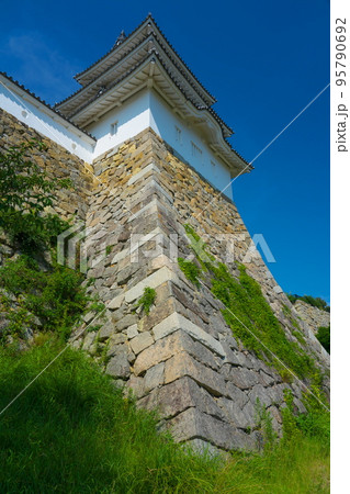 【日本100名城】明石城 南帯曲輪から見上げる巽櫓2 兵庫県明石市 【日本100名城】明石城 南帯曲輪から見上げる巽櫓2 兵庫県明石市 95790692