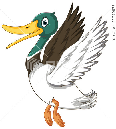 clipart mallard duck