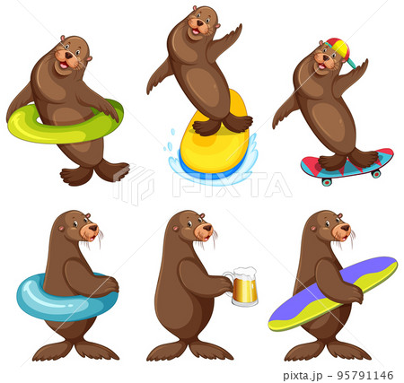 Set of different sea lions cartoon characters - Stock Illustration  [95791146] - PIXTA