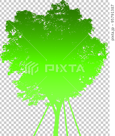 Gradient tree silhouette image. illustration with transparent background Gradient tree silhouette image. illustration with transparent background 95791387