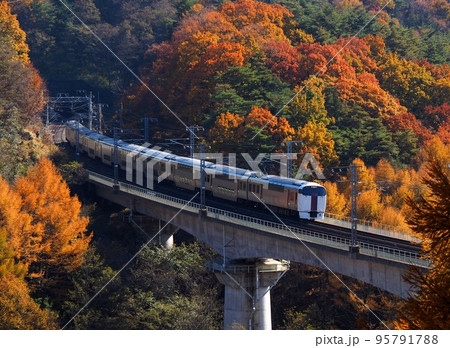 紅葉の中を走る215系オール二階建て電車 中央線 信濃境~富士見 紅葉の中を走る215系オール二階建て電車 中央線 信濃境~富士見 95791788