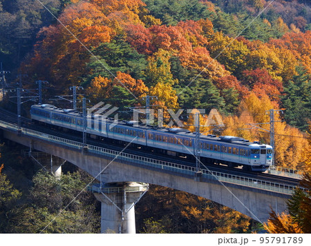 紅葉の中を走る115系 中央線 信濃境-富士見 紅葉の中を走る115系 中央線 信濃境-富士見 95791789