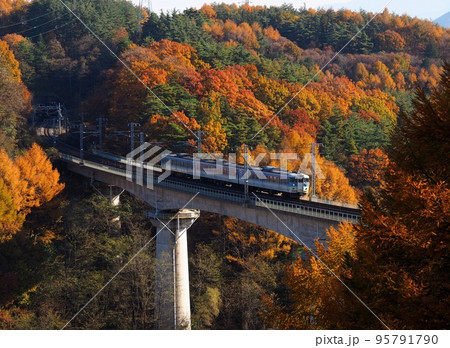 紅葉の中を走る115系長野色 中央線 信濃境-富士見 紅葉の中を走る115系長野色 中央線 信濃境-富士見 95791790