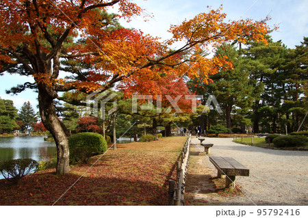 紅葉彩る兼六園にて（石川県金沢市） 95792416