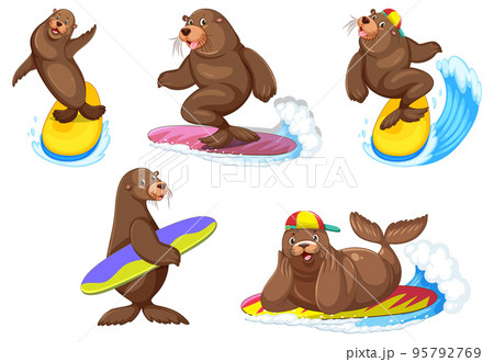 Set of different sea lions cartoon charactersのイラスト素材 [95792769] - PIXTA