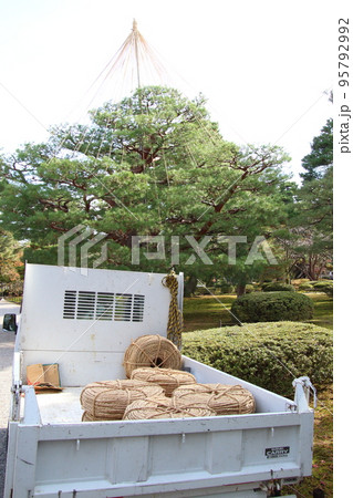 雪吊り準備中の兼六園(石川県金沢市) 雪吊り準備中の兼六園(石川県金沢市) 95792992