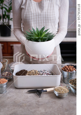 Woman holding planted Aloe Aristata Succulent Plant in white ceramic pot 95793818