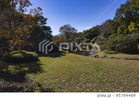 赤城自然園　シャクナゲ園の美しい紅葉　群馬県渋川市 95794469