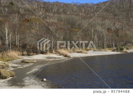 赤城山小沼と美しい白樺林　群馬県高崎市 95794488
