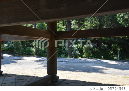 鎌倉　初夏の円覚寺 95794543