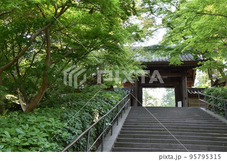 鎌倉　初夏の円覚寺 95795315